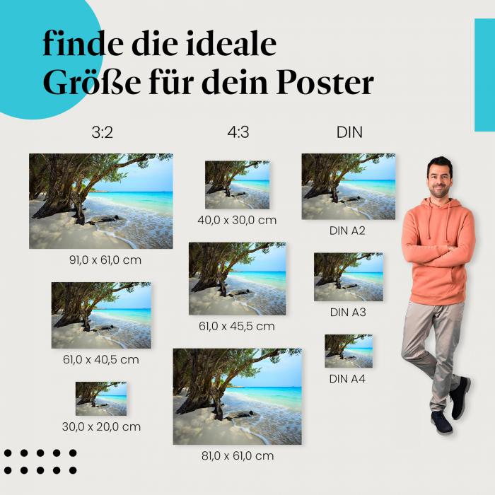 Paradiesischer Strand Poster: Sommer, Sonne, Strand - jetzt Poster bestellen!